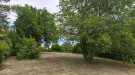 Pest megye - Budakeszi