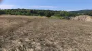 Pest megye - Budakeszi