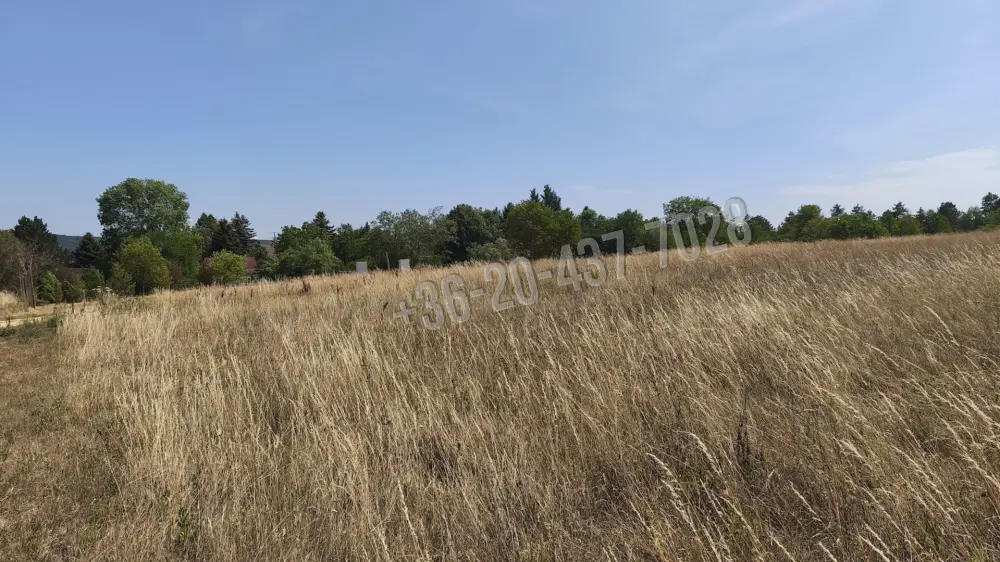 Pest megye - Budakeszi