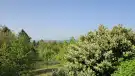 Pest megye - Budakeszi