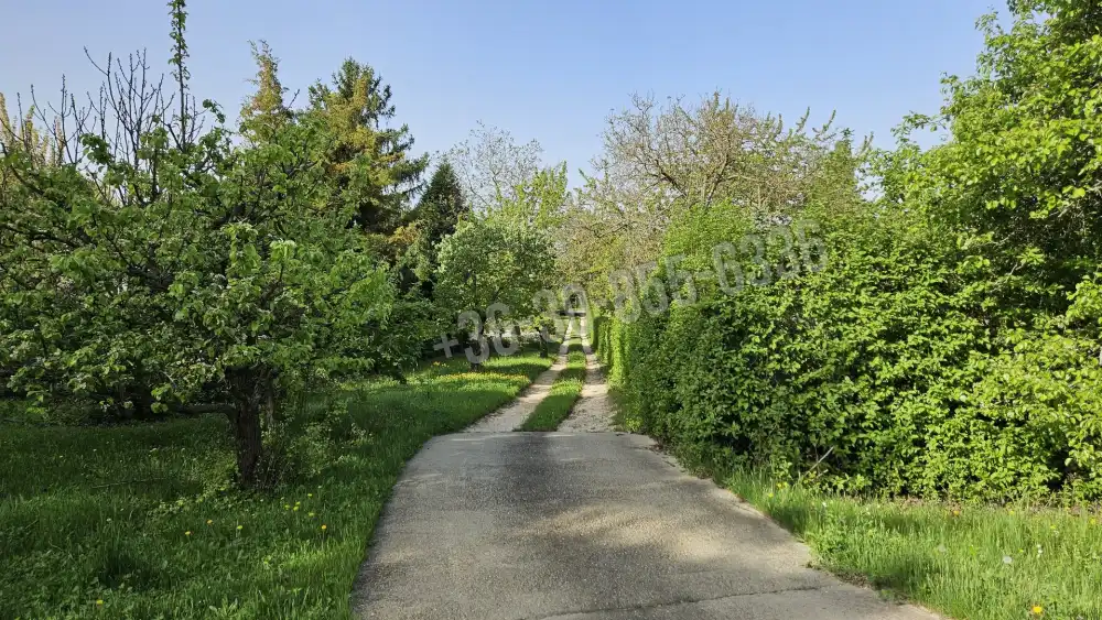 Pest megye - Budakeszi