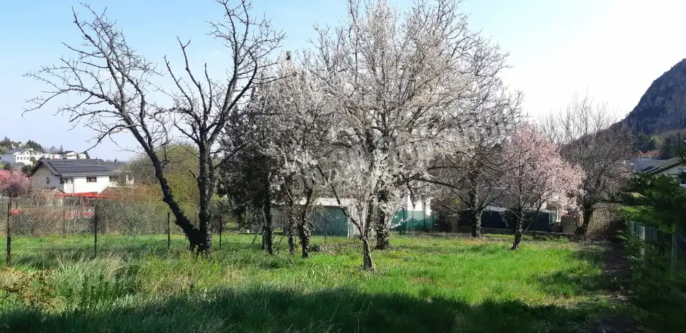 Pest megye - Budaörs