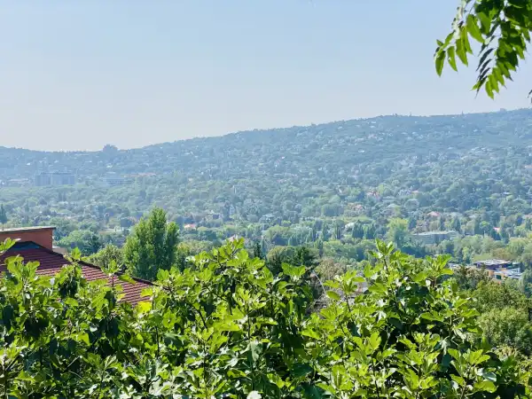 Eladó Építési telek, Budapest, II. kerület 900 m² 565 M Ft