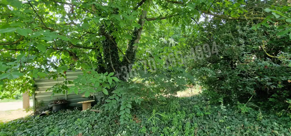 Pest megye - Csörög