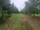 Pest megye - Csővár