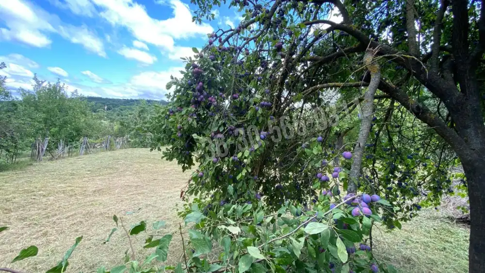 Pest megye - Csővár