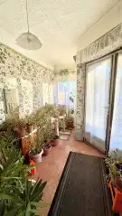 Pest megye - Dabas
