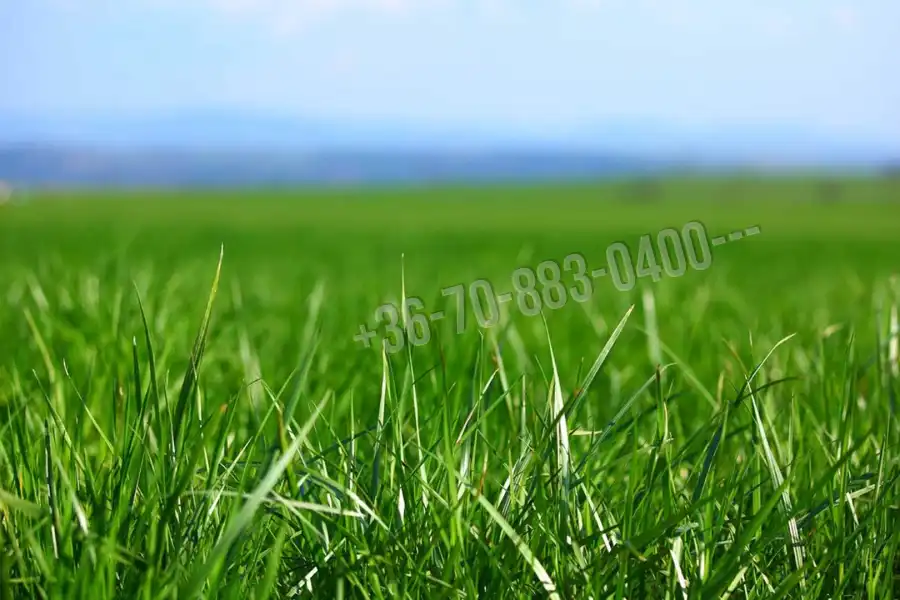 eladó  Építési telek, Dabas