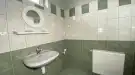 Pest megye - Dabas