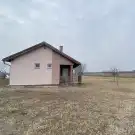 Pest megye - Dabas