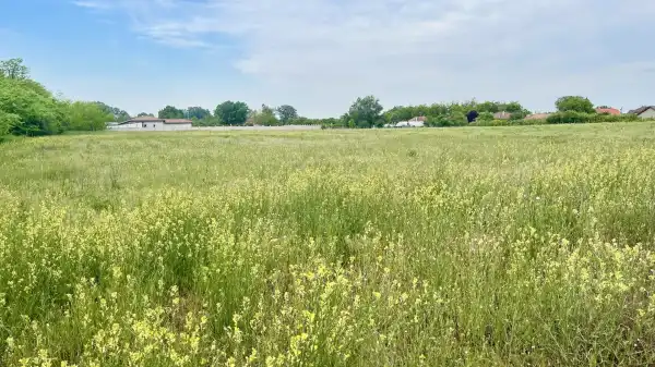 Eladó Építési telek, Dabas 20196 m² 98.99 M Ft