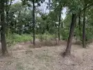 Pest megye - Dabas