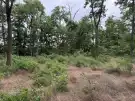 Pest megye - Dabas