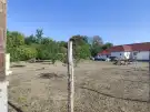 Pest megye - Dabas