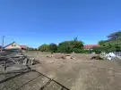 Pest megye - Dabas