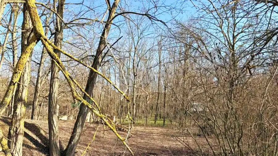 eladó  Építési telek, Dabas