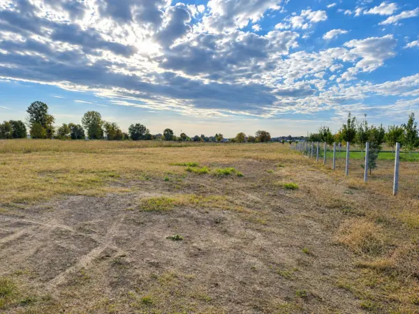 Eladó Építési telek, Dabas 1842 m² 39.9 M Ft