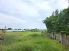 Pest megye - Dabas