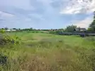 Pest megye - Dabas