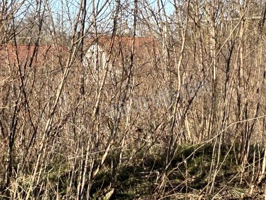 eladó  Építési telek, Dabas