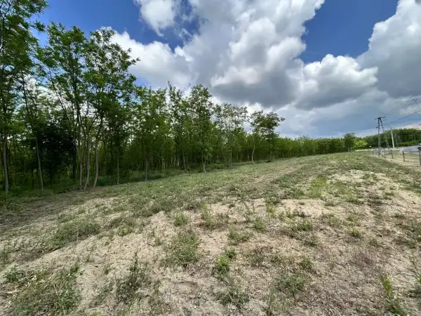 Eladó Építési telek, Dabas 762 m² 15 M Ft