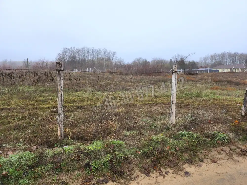 Pest megye - Dabasiszőlők