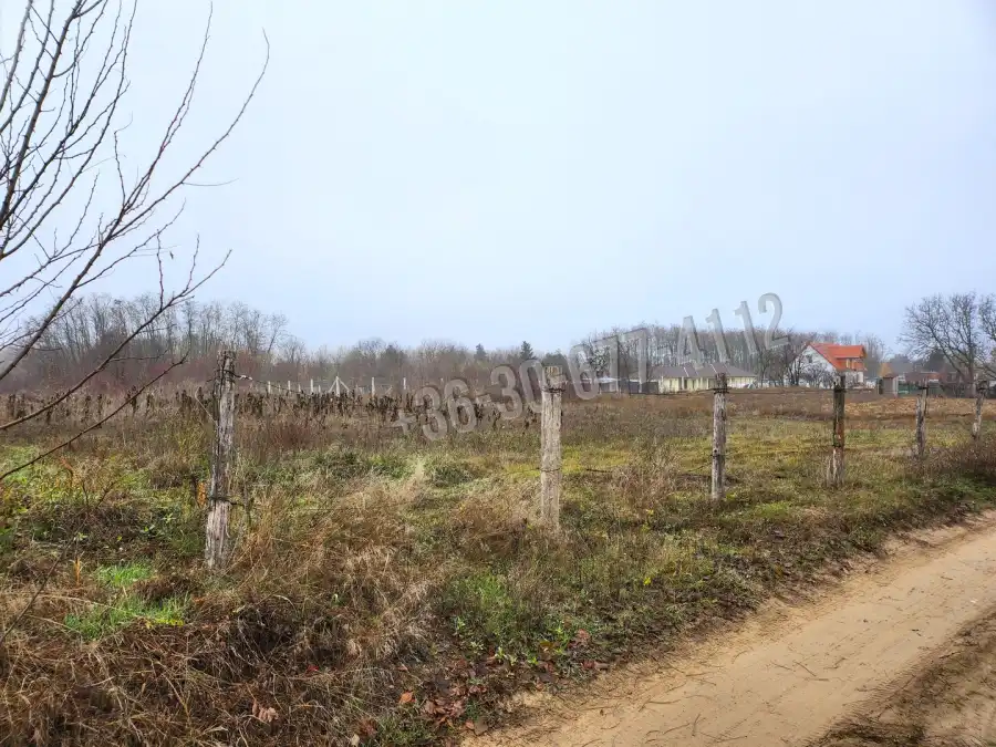 eladó  Építési telek, Dabasiszőlők