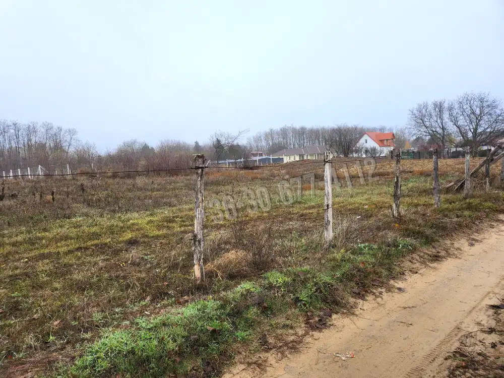 Pest megye - Dabasiszőlők