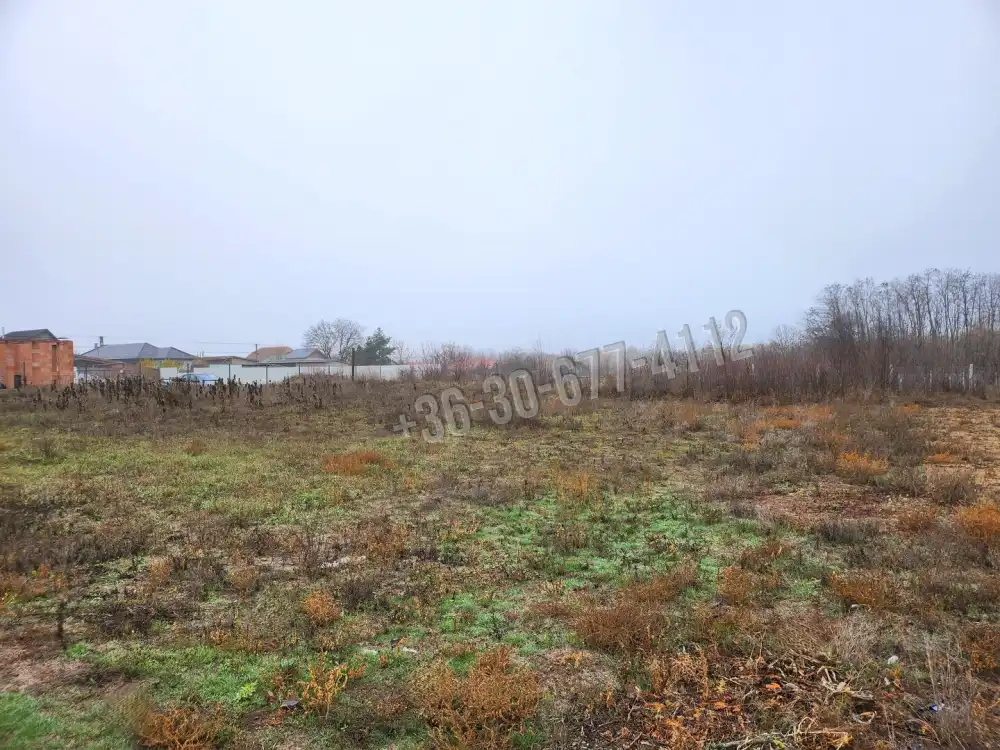 Pest megye - Dabasiszőlők