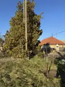 Pest megye - Dömsöd