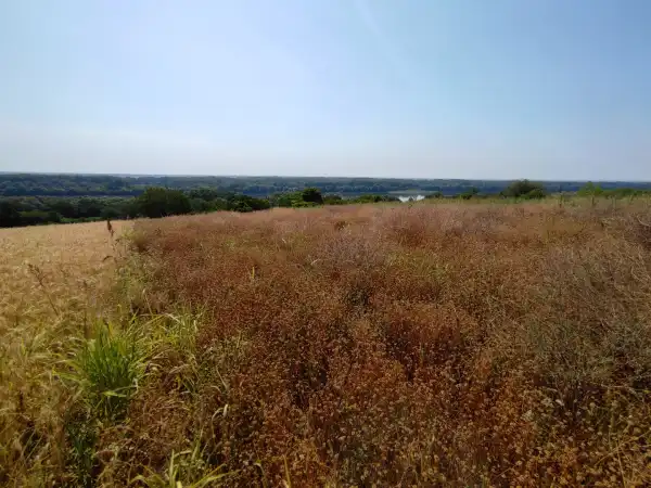 Eladó Építési telek, Dunaszekcső 3639 m² 8 M Ft