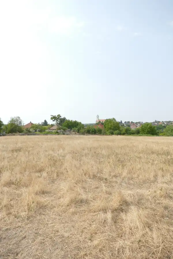 Eladó Építési telek, Ercsi 8496 m² 79.9 M Ft