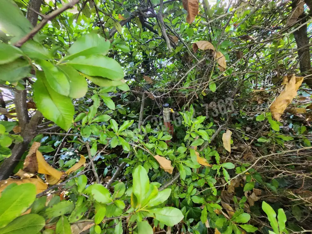 Pest megye - Érd