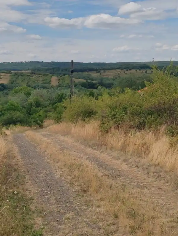 Eladó Építési telek, Erdőkürt 953 m² 4.9 M Ft