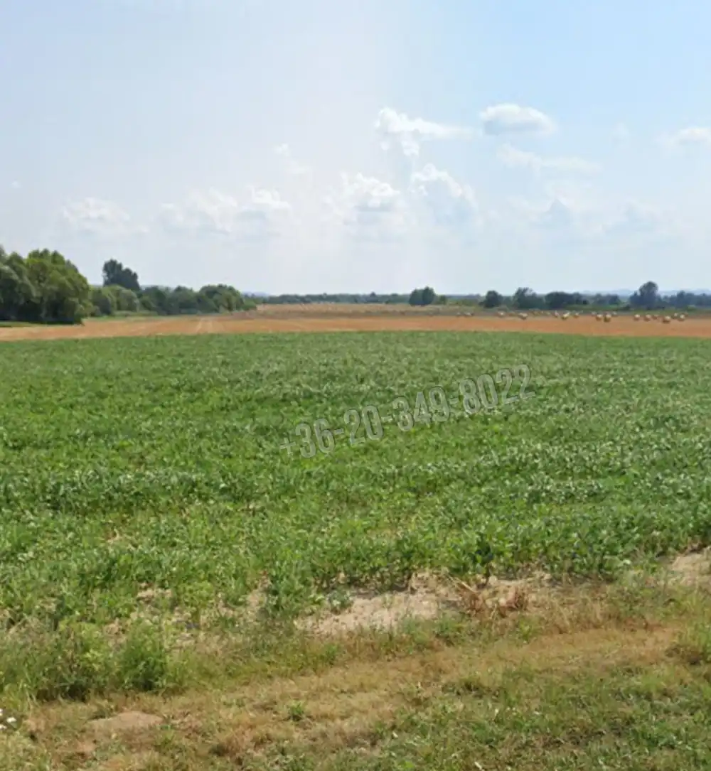 Zala megye - Felsőrajk