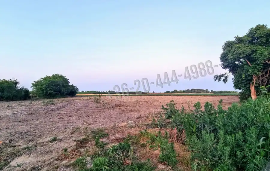 eladó  Építési telek, Foktő