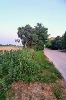 Bács-Kiskun megye - Foktő