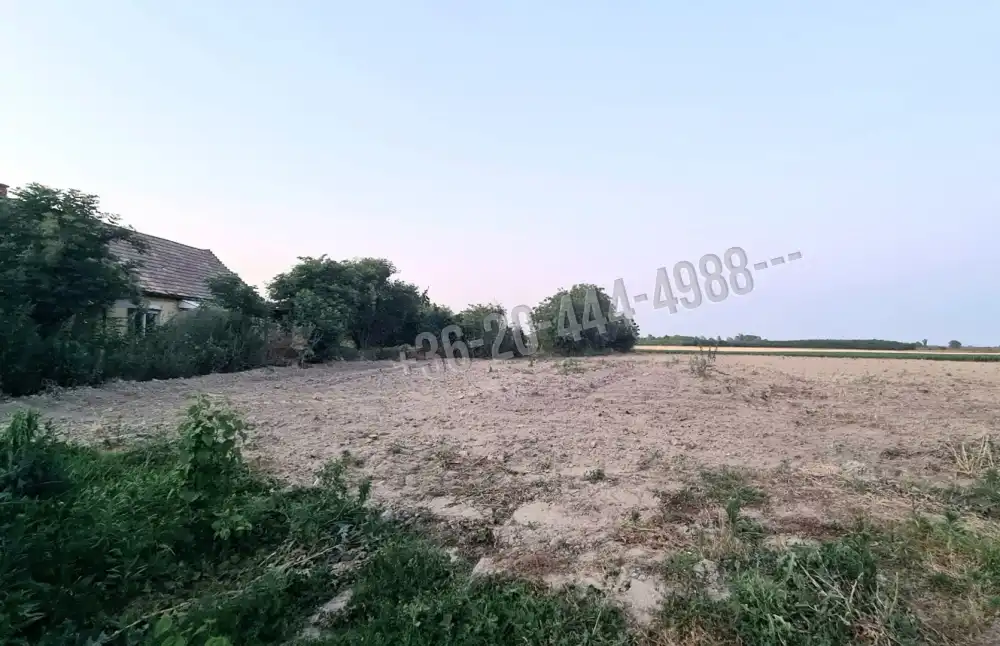 Bács-Kiskun megye - Foktő