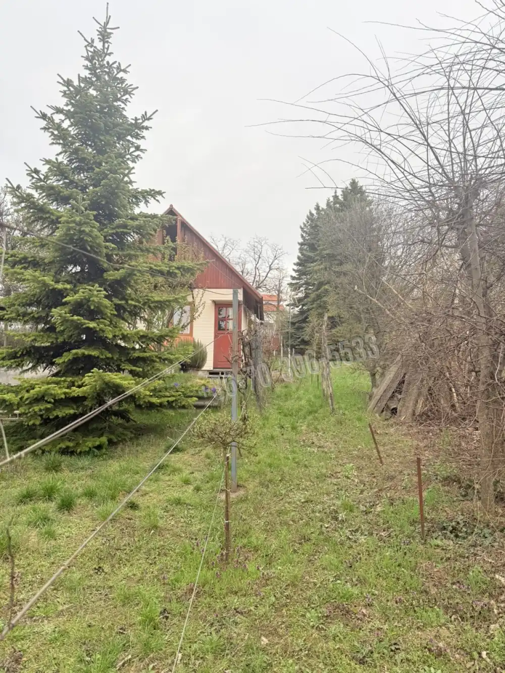 Pest megye - Gödöllő