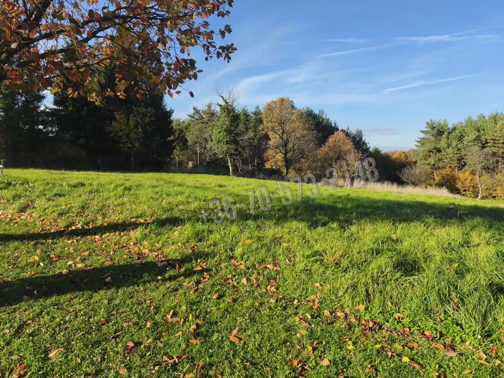 Zala megye - Gosztola