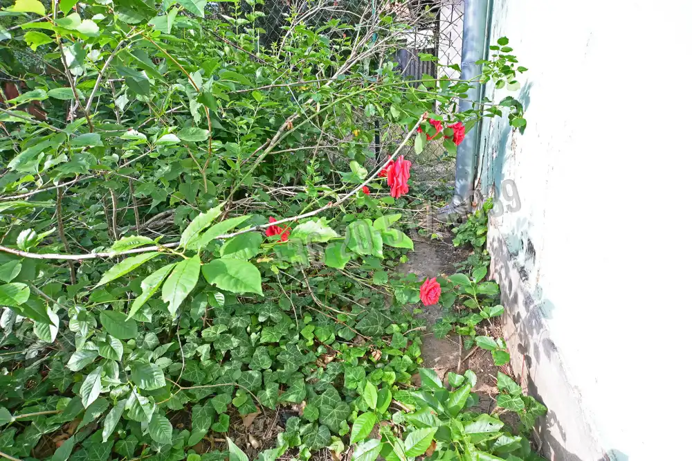 Pest megye - Gyál