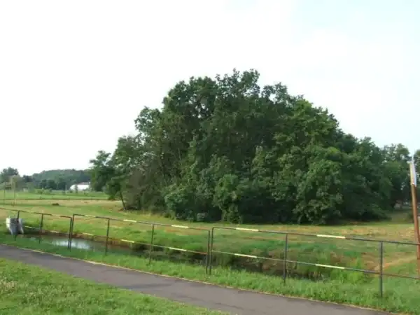 Eladó Építési telek, Gyula 5662 m² 29.8 M Ft