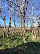 Pest megye - Inárcs