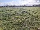 Pest megye - Kakucs