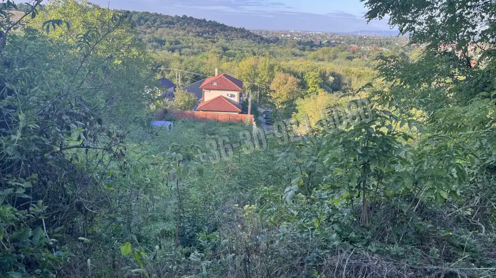 Pest megye - Kerepes