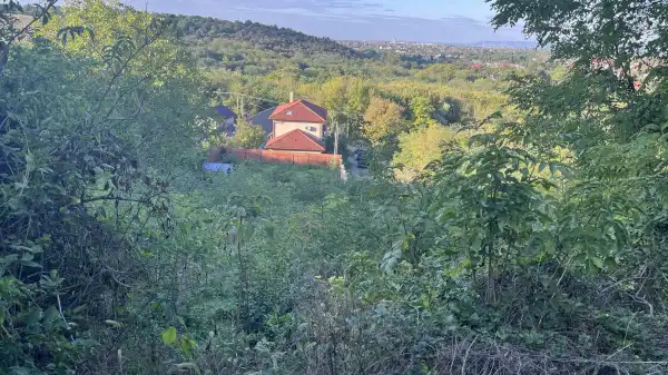 Eladó Építési telek, Kerepes 1126 m² 20 M Ft