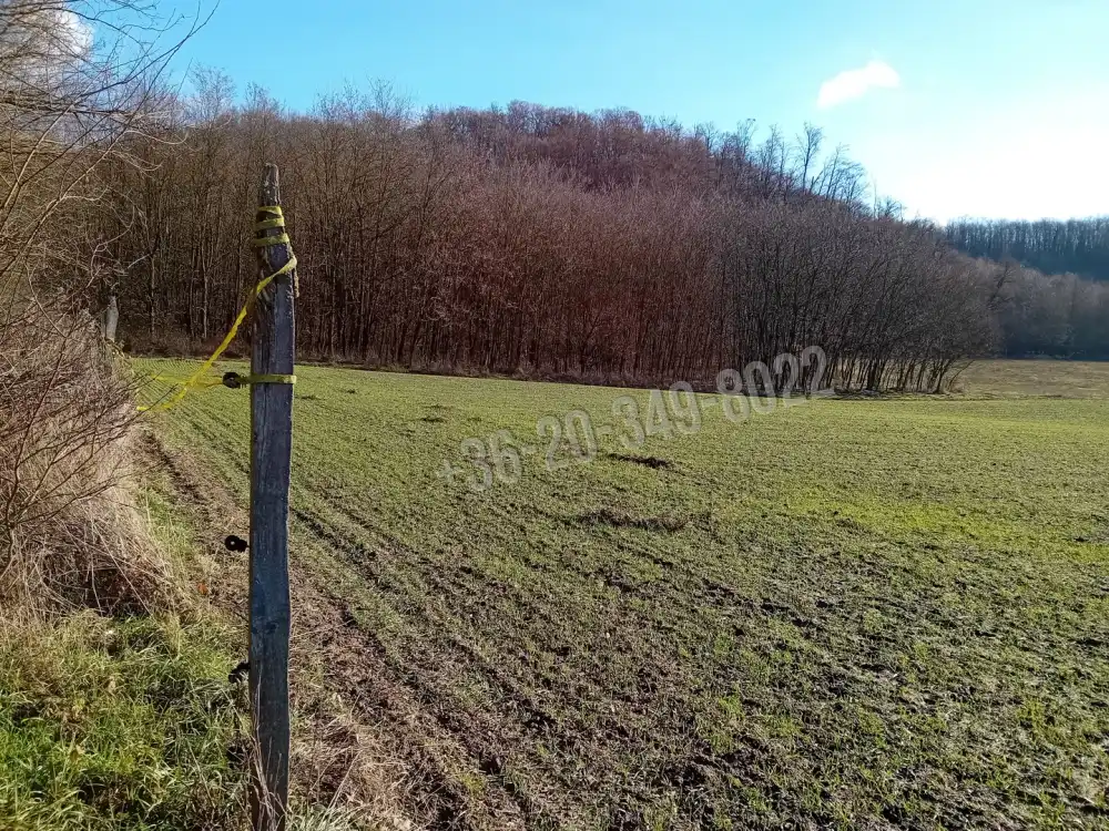 Zala megye - Kisbucsa