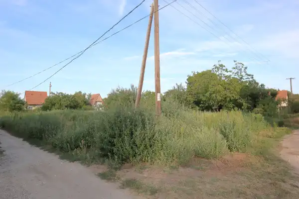 Eladó Építési telek, Kiskundorozsma 900 m² 8 M Ft
