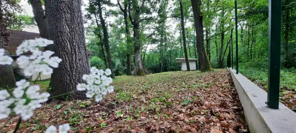 Eladó Építési telek, Kismaros 590 m² 23.49 M Ft