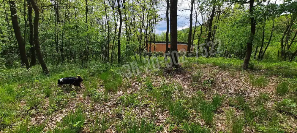 Pest megye - Kismaros